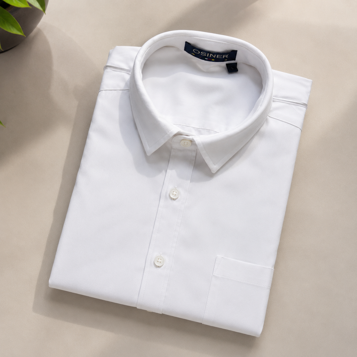 Everyday White Shirt